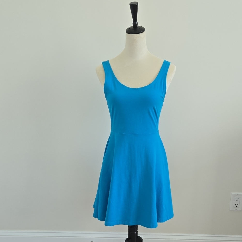 Express Blue Fit and Flare Mini Dress